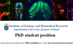 PhD student position